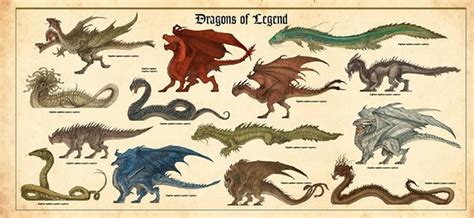 Magic of dragons